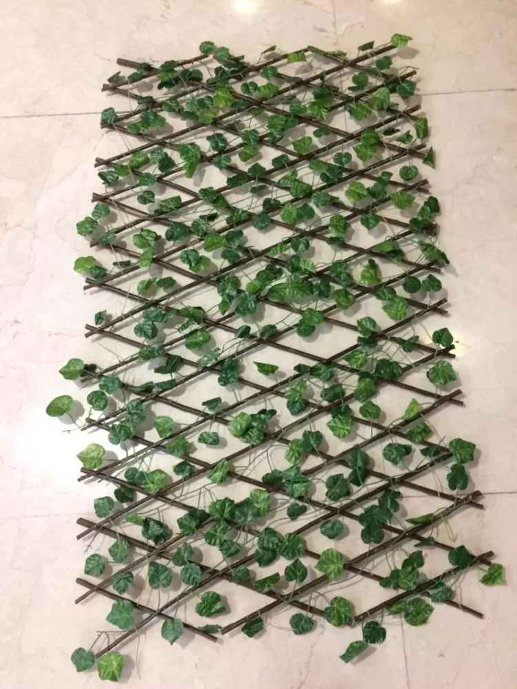 حفاظ آکاردئونی
